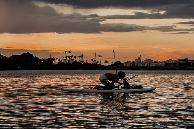 1-Hour Condado Lagoon Paddleboard Rental in San Juan - Gear and Safety Details That Make the Hour Smoother