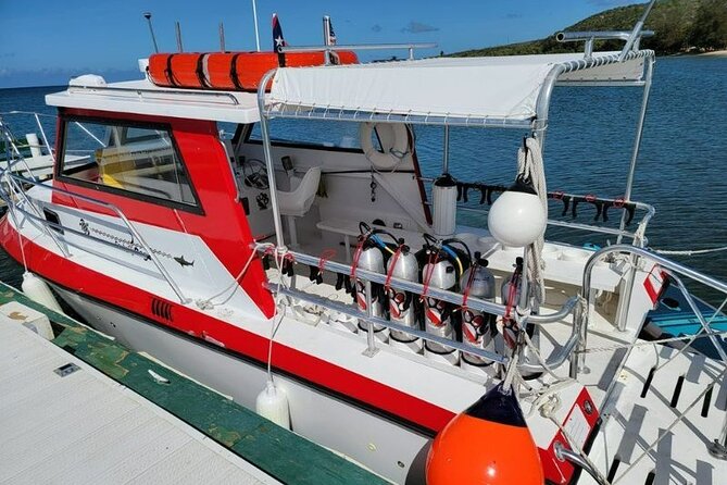 2-Tank Scuba Boat Trip in World-Class Sites @ Copamarina - Timing, group size, and the real rhythm of the day