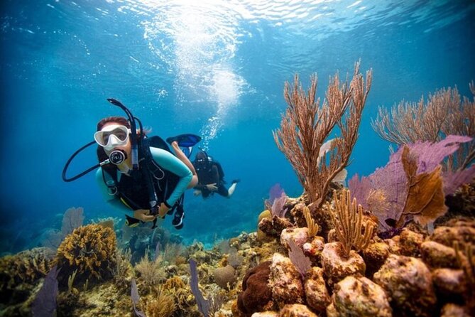 2-Tank Scuba Boat Trip in World-Class Sites @ Copamarina - What to expect at each stage, from meeting point to return