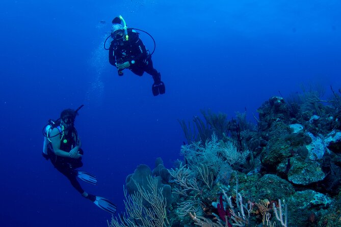 2-Tank Scuba Boat Trip in World-Class Sites @ Copamarina - Price and what you actually get for $235