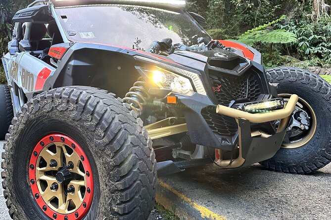 3-Hour Private UTV Tour in San Juan - Should you book this 3-hour private UTV tour in San Juan?