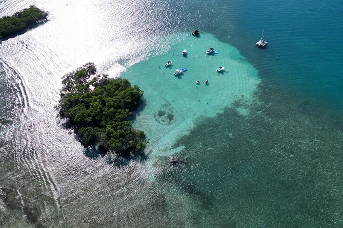 4 hours Tour in La Parguera Private Boat Charter - Price and Value at About $91.66 Per Person for 4 Hours