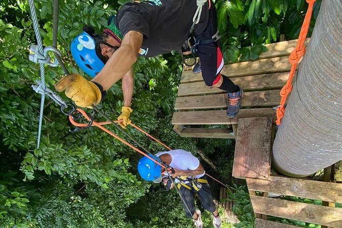 Adventure Trail Tour in the foothills of the National Rainforest - Surfing the Jungle and Tarzan’s Swing: Fun Stations That Keep Kids Hooked