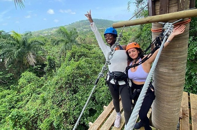 Adventure Trail Tour in the foothills of the National Rainforest - Price and Value: What $110 Really Buys You
