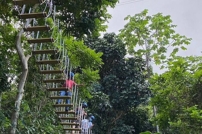 Adventure Trail Tour in the foothills of the National Rainforest - The 1-Hour Schedule: From Gear Up to Fly Off the Small Zipline