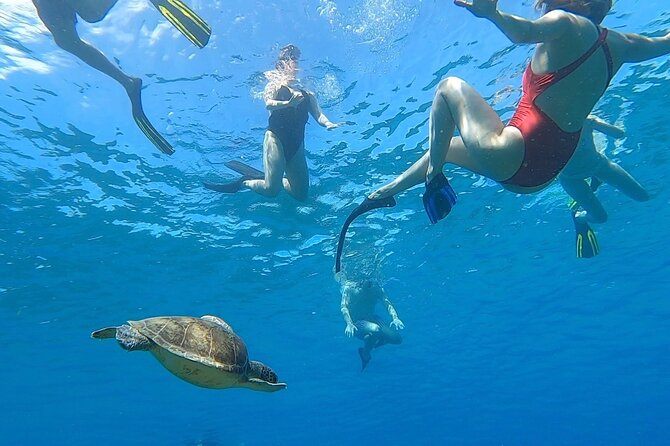 Aguadilla Tropical Snorkeling - Meet Carolina and Edwin, Then Get a Real Safety Brief