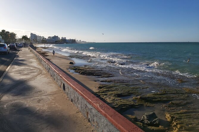 Airport Transfer to Cruise Ships, Hotels, Airbnb in San Juan - How pickup and communication typically feel in practice