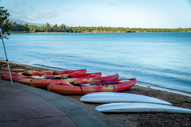 All-Day Paddleboard Rental – Fajardo, Puerto Rico - All-Day Freedom on Fajardo Water
