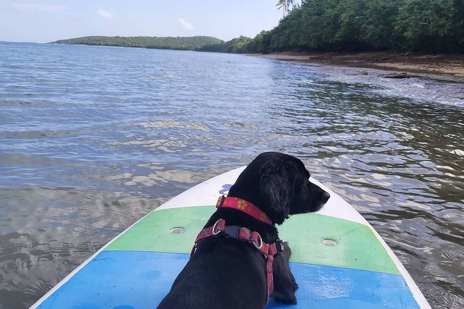 All-Day Paddleboard Rental – Fajardo, Puerto Rico - Paddling Your Own Plan Inside Cabezas de San Juan