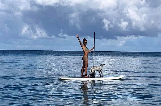 All-Day Paddleboard Rental – Fajardo, Puerto Rico - Wildlife Watching Tips That Actually Help