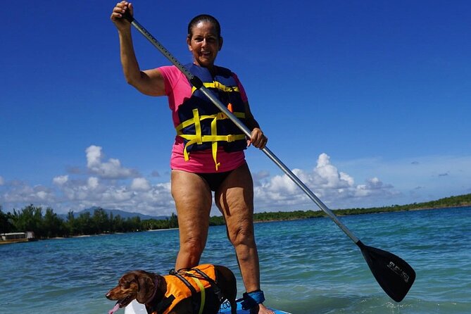 All-Day Paddleboard Rental – Fajardo, Puerto Rico - Price and Value: Is $83 Worth It?