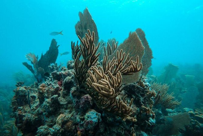 All Inclusive Beach and Snorkel Boat Tour to Icacos Island - What to bring: small items that make the day smoother