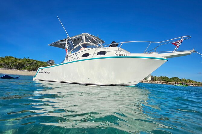 All-Inclusive: Mako 29ft Boat Tour to Icacos Palomino & Palominito - The Ride Out: Panoramic Views and a 29-Foot Mako You Can Actually Use