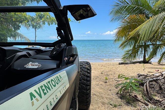 Añasco-Bunny Fever Adventure Experience - West Coast Puerto Rico, With a Music-Spot Twist