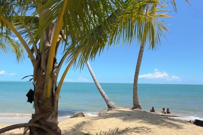 Añasco-Bunny Fever Adventure Experience - The Guide Factor: Why Vibe and Safety Matter