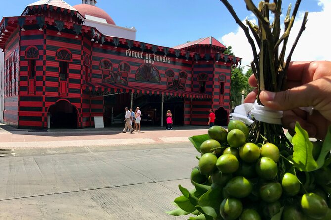 Around the Island Tour From San Juan - Key highlights to look for