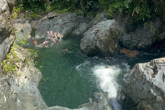 Authentic El Yunque Rainforest Adventure — Waterfalls & Slides - Optional Cliff Jumps and Rope Swings (When the Weather Fits)