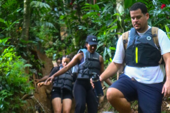 Authentic El Yunque Rainforest Adventure — Waterfalls & Slides - Price and Value: What $35.99 Buys You in Real Life
