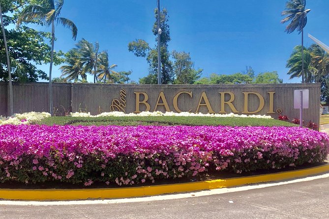 Bacardi Rum Distillery and Old San Juan Tour - Why This Bacardi and Old San Juan Combo Works in One Afternoon