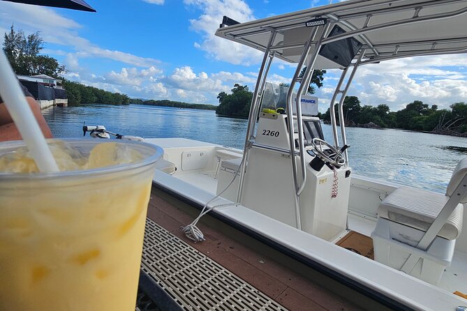 Backwater Wildlife and Boat Tour - What You Might See: Birds, Manatees, Caimans, Turtles, and More