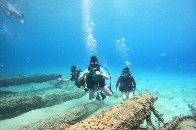 Beginner Scuba Diving Guided Tour - No Experience Required - Key highlights that matter before you book