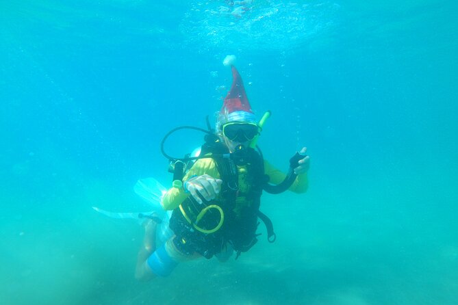 Beginner Scuba Diving Guided Tour - No Experience Required - Price and value: why $99 can actually feel reasonable