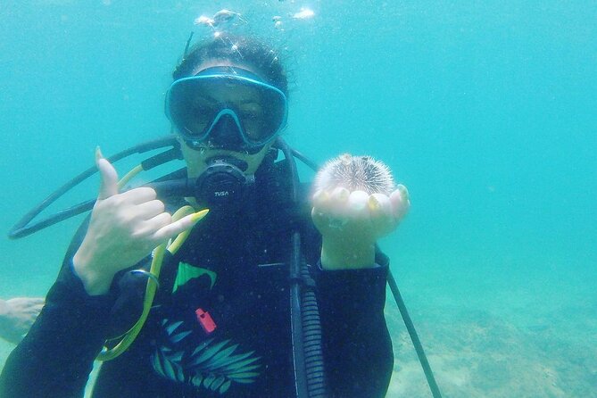 Beginner Scuba Diving Guided Tour - No Experience Required - Getting there in Rincón: the meeting point reality check