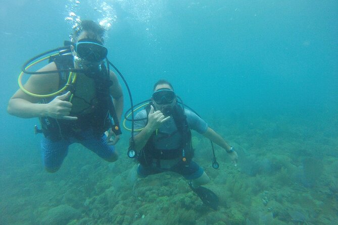Beginner Scuba Diving Guided Tour - No Experience Required - Weather, cancellations, and how to protect your plans