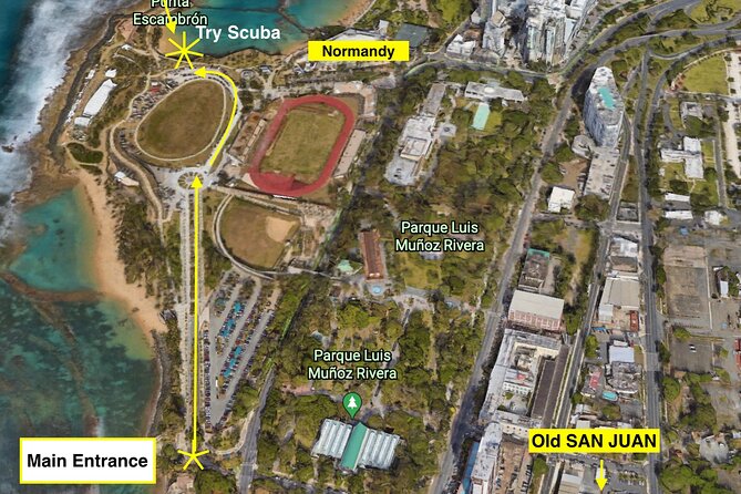 Beginner Scuba Diving with Turtles and Videos, San Juan - What you’ll see off Escambrón, including turtles