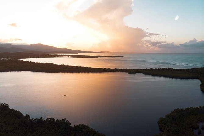 Bio Bay Kayak Tour in Fajardo - How the Tour Flows at Dusk and in Full Dark