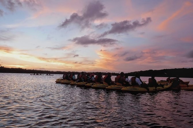Bio Bay Kayak Tour in Fajardo - Sunset vs Night Tour: Picking Your Comfort Zone