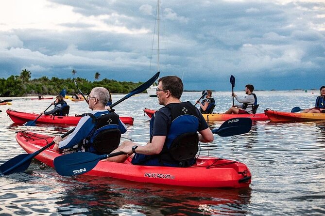 Bio Bay Kayak Tour in Fajardo - Crowds and Flow: The Real-World Side of Popularity
