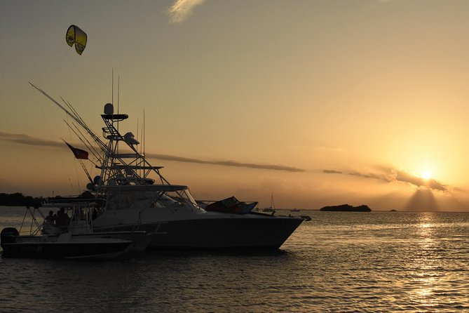 Bio Bay Magic and Rum Tasting Tour from San Juan - Key highlights