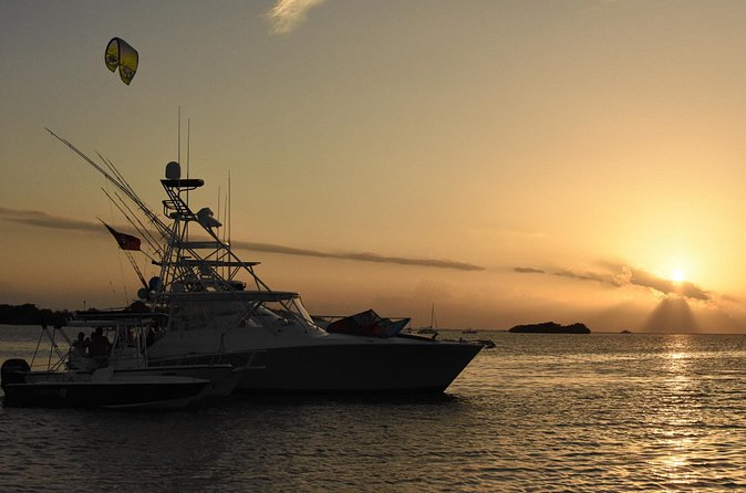 Bio Bay Magic and Rum Tasting Tour from San Juan - The bioluminescent bay swim: what you should expect in the water