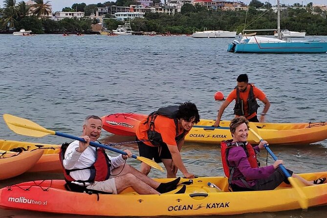 Bio Bay Night Kayak Tour in Fajardo - Guides make or break the night, and this one has a strong track record