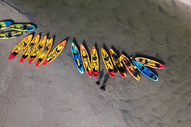 Bio Bay Night Kayak Tour in Fajardo - Kayak Village check-in, how the tour sets you up to succeed