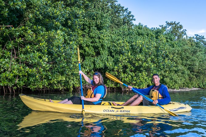 Bio Bay Night Kayak Tour with Transport from San Juan - The 4:00 pm Start and a 4-hour Flow You Can Plan Around