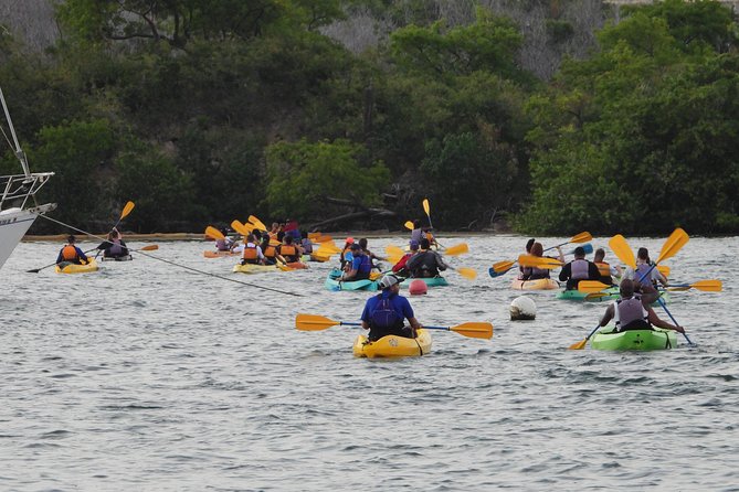 Bio Bay Night Kayak Tour with Transport from San Juan - What’s Included, and Why It Changes the Value