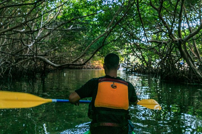 Bio Bay Night Kayaking | Laguna Grande, Fajardo - What to Wear and Bring, So You Don’t Regret It Later
