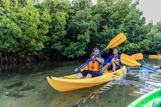 Bio Bay Night Kayaking with Transport from San Juan Area - Key things I’d know before you go