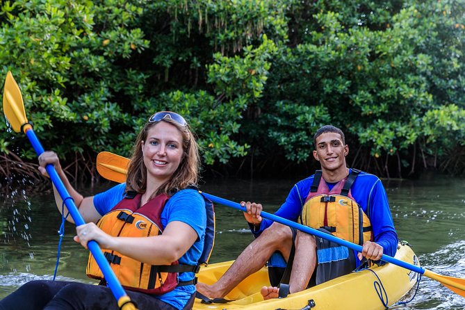 Bio Bay Night Kayaking with Transport from San Juan Area - Bioluminescence in real life, and why your night sky can matter