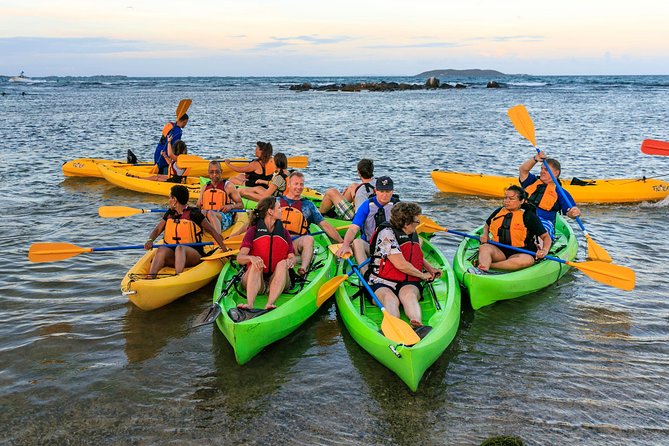Bio Bay Night Kayaking with Transport from San Juan Area - Your guide makes or breaks the experience