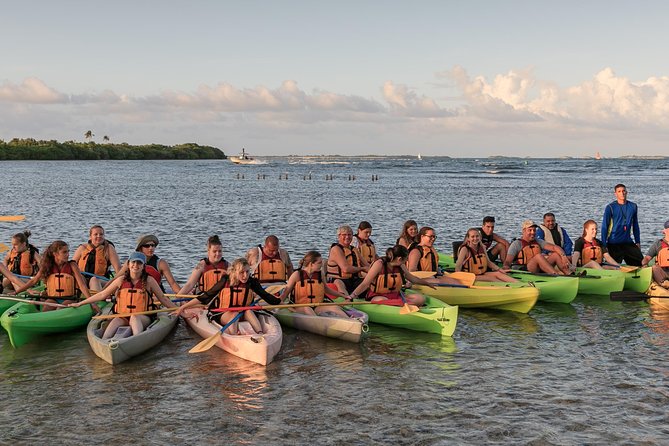 Bio Bay Night Kayaking with Transport from San Juan Area - Who should book, and who might be better off elsewhere
