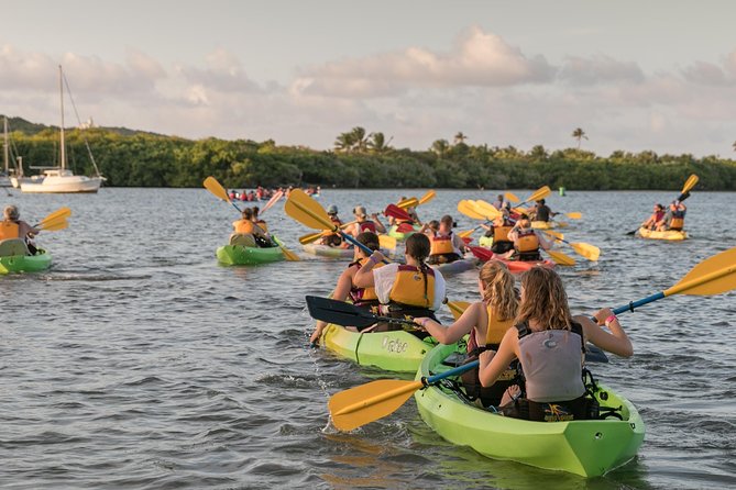 Bio Bay Night Kayaking with Transport from San Juan Area - Laguna Grande mangroves: the part that can feel magical even without perfect glow