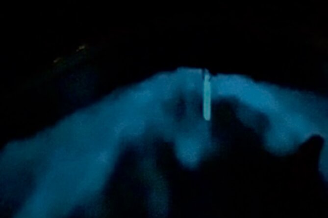 Bio Bay Tour Vieques – Full Clear Canoes Experience - Clear Canoes, Small Groups, and a 1.5 Hour Game Plan