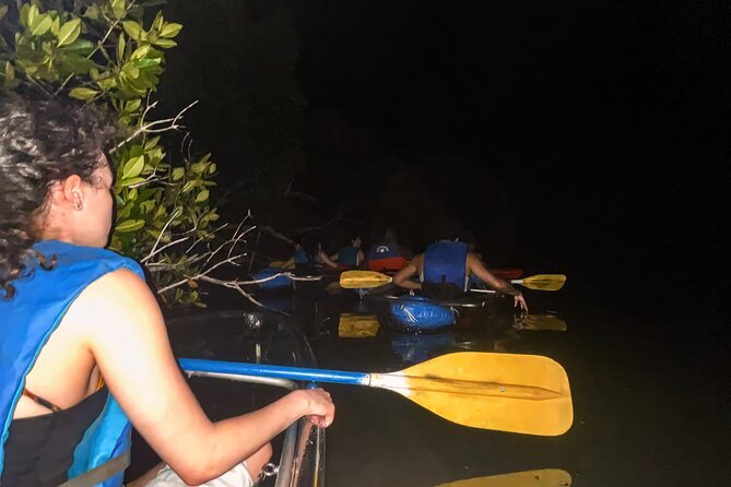 Bio Bay Tour Vieques – Full Clear Canoes Experience - Guides, Stars, and the Little Details That Make It Work