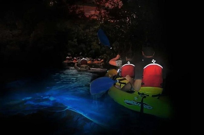 BioBay Sunset Splash-Kayaking Tour - Should you book BioBay Sunset Splash-Kayaking Tour?