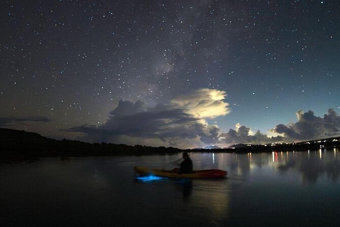 Biobay Vieques Tour Kayak Night Tour - The guide factor: star talk and phone-help in the dark