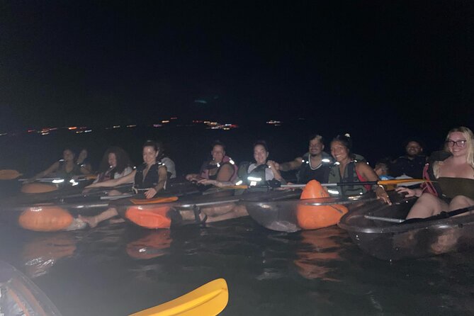 Biobay Vieques Tour Kayak Night Tour - Who should book this night kayak tour, and who might hesitate