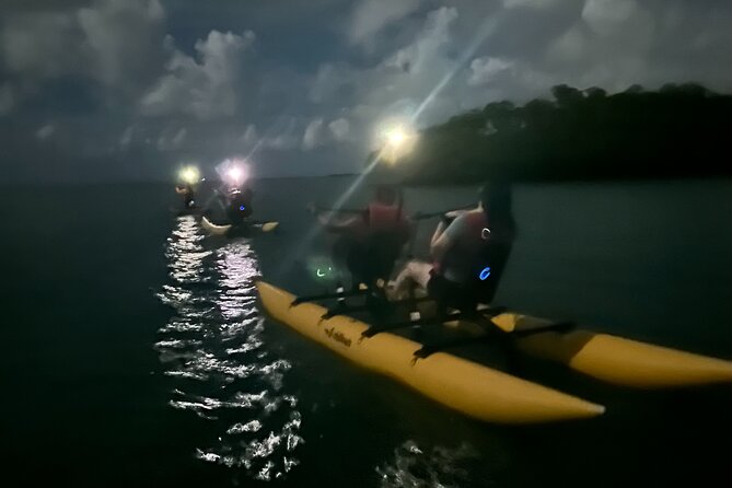Bioluminescent Bay Chiliboats Waterbike Tour in La Parguera - Punta Papayo meeting point: timing, what to wear, and what to avoid